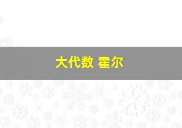 大代数 霍尔